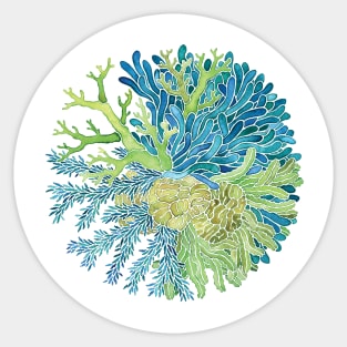Sea Plants Sticker